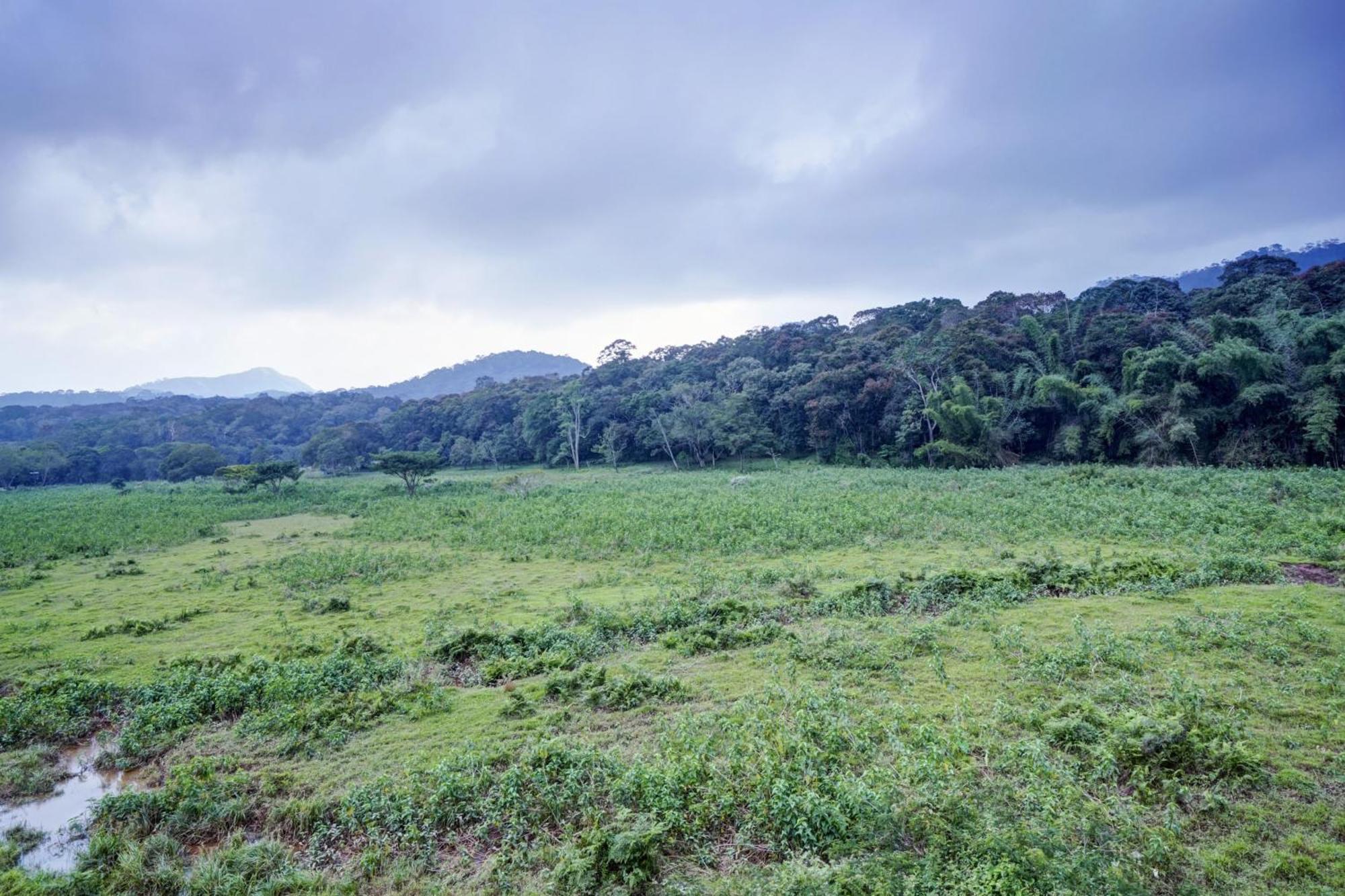 Oyo Flagship Meadow View Inn Thekkady Exterior foto